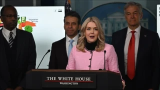 Haydut devletten �ran a��klamas�