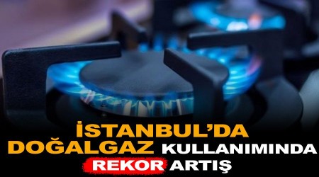 İstanbul'da doğalgaz kullanımında rekor artış