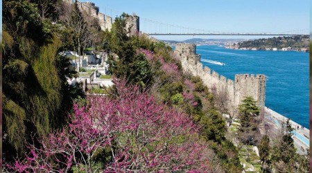 stanbul'da erguvan zaman