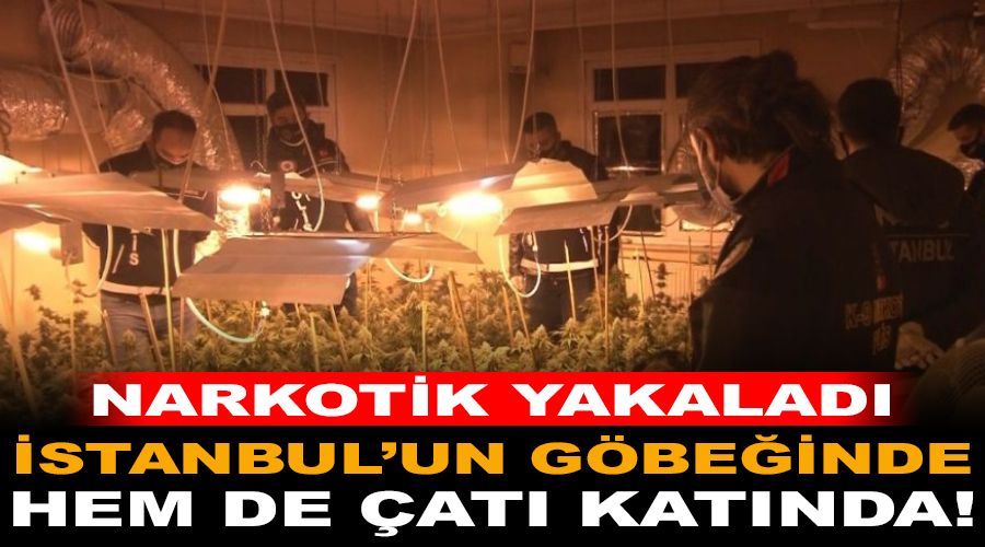 �stanbul'un g�be�inde uyu�turucu seras�, hem de �at� kat�nda!