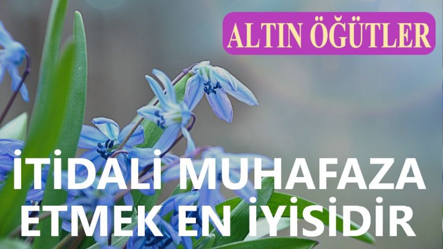 tidali muhafaza etmek en iyisidir