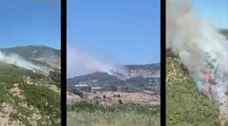 İzmir ve Manisa'da 9 orman yangını söndürüldü