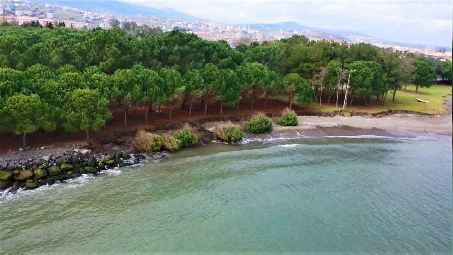 Karadeniz dalgalar� a�a�lar� da k�k�nden s�kt�