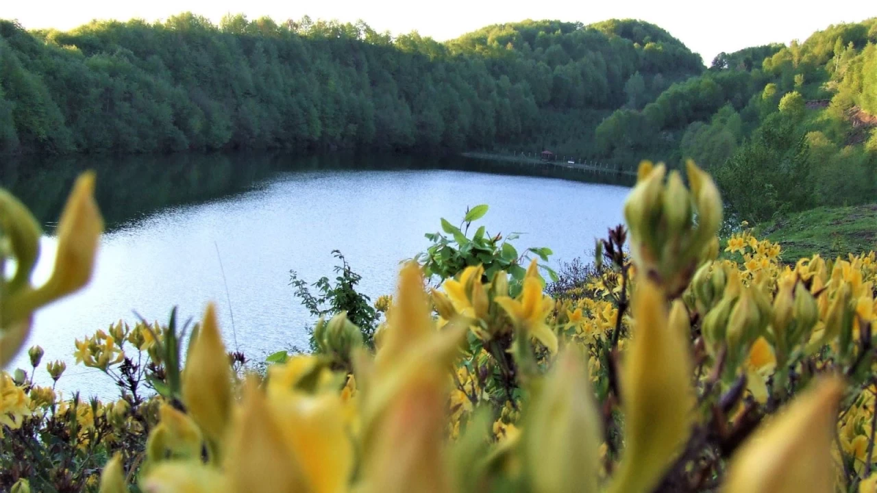 Karadeniz'in saklı cenneti: Gölköy'de tarih, kültür ve doğa turu