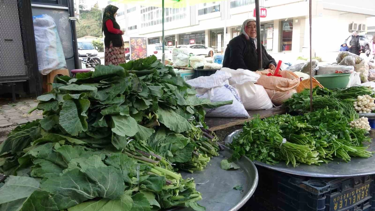 Karalahanan�n faydalar� bilimsel olarak kan�tland�