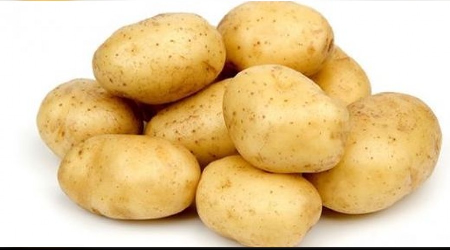 Kayısı diyarında patates hasadı