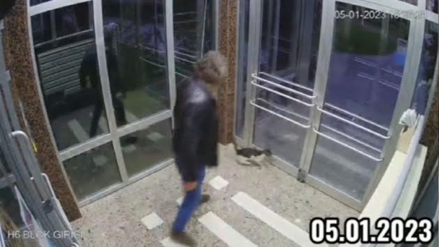 Kediyi tekmeleyerek dövdü, tepki yağdı