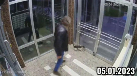Kediyi tekmeleyerek dövdü, tepki yağdı