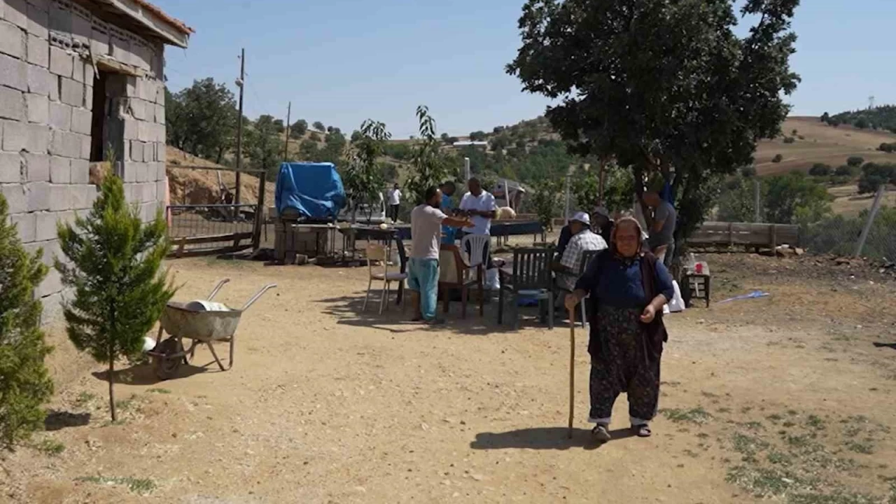 Kırıkkale'de 210 hayvanı telef oldu: 63 yaşındaki kadın gözyaşlarını tutamadı