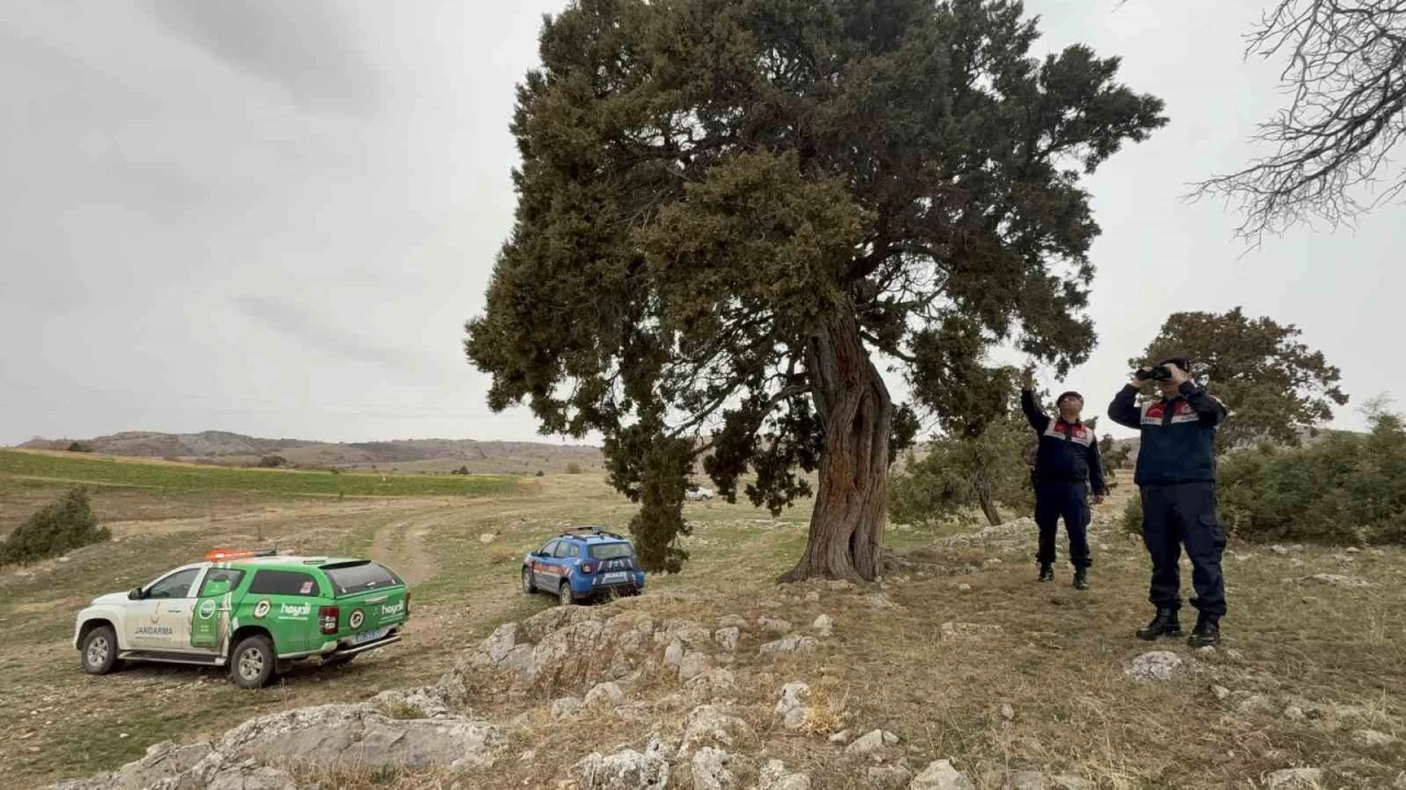 Ky halk 508 yandaki ard aacnn tescilini istiyor