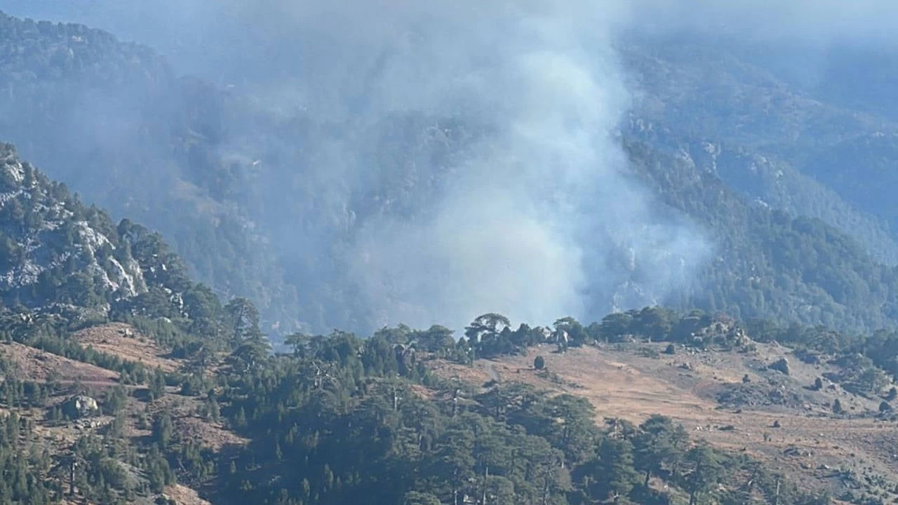 K�yce�iz'deki orman yang�n� kontrol alt�na al�nd�