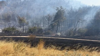 Manisa Soma'da orman yangn