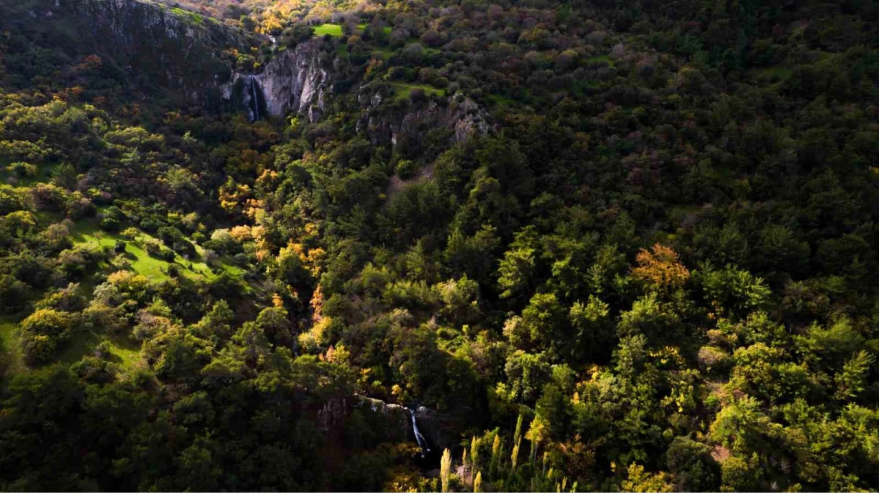 Manisa'da sonbahar manzaralar Karadeniz yaylalarn aratmad
