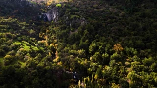 Manisa'da sonbahar manzaralar Karadeniz yaylalarn aratmad