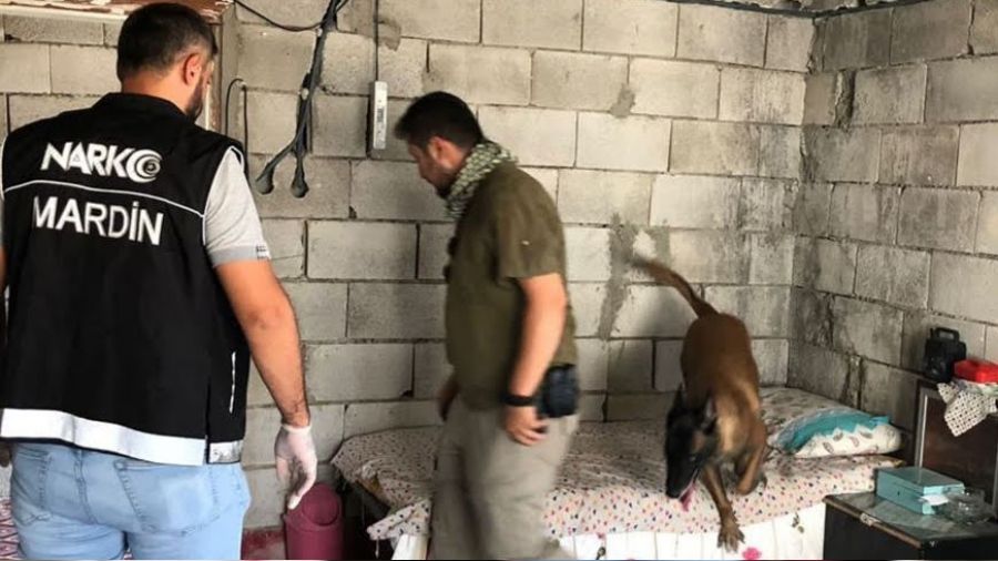 Mardin'de zehir tacirlerine göz açtırılmıyor