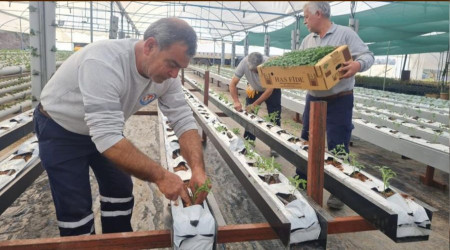 Mezitli Belediyesi, topraksz tarm iin adm att