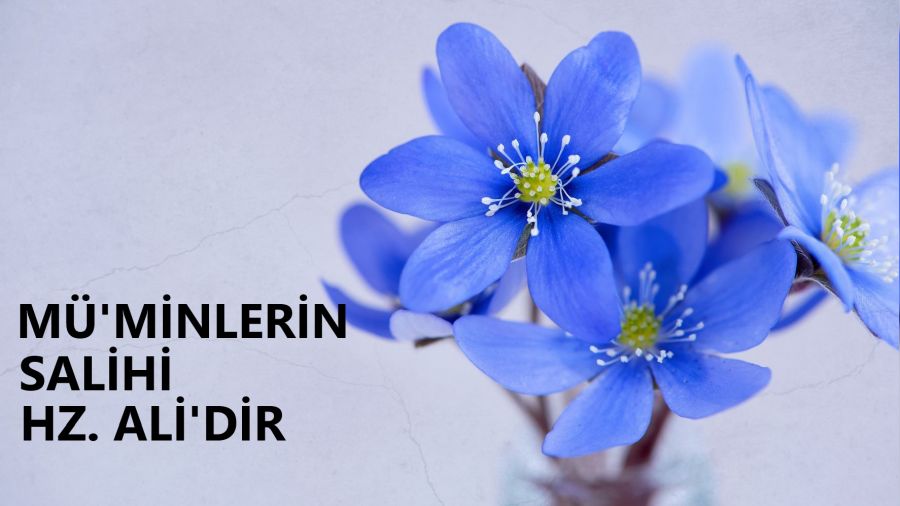 Mü’minlerin salihi Hz. Ali’dir