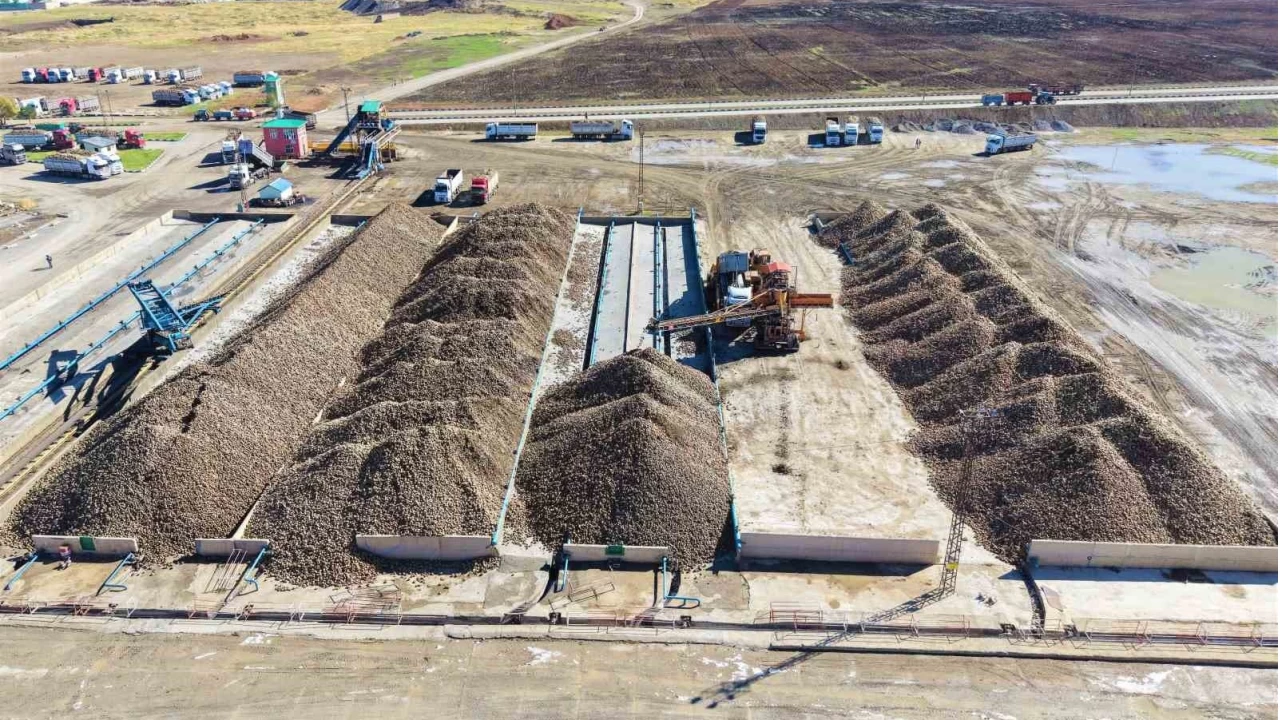 Muş Ovası'nda 1.7 milyar TL'lik tatlı yolculuk