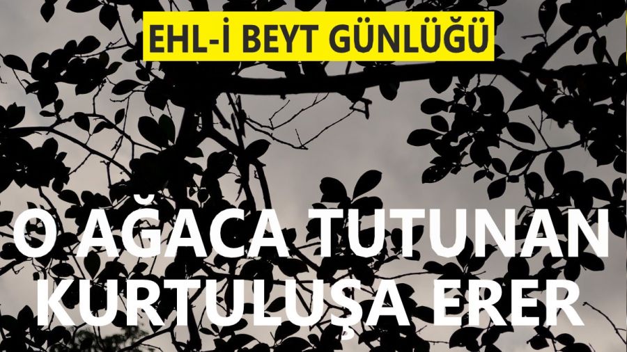 ‘O ağaca tutunan kurtuluşa erer’ 