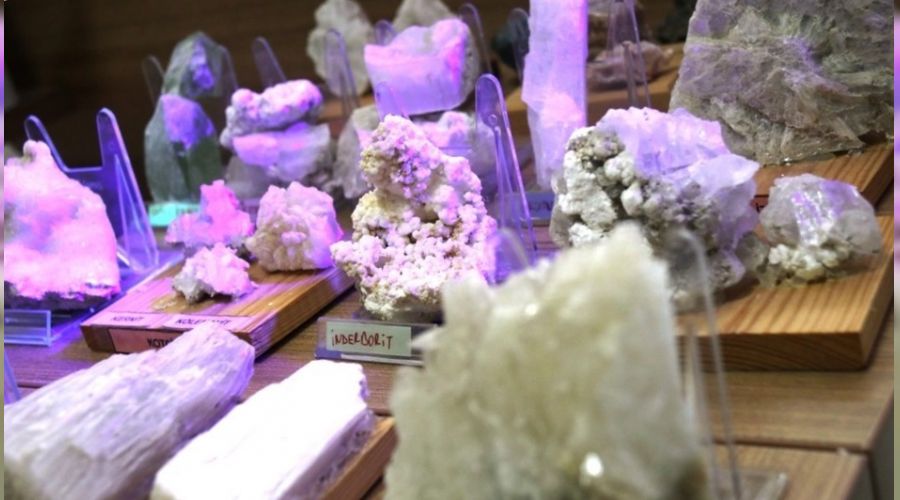 ��retim �yesinin ta� koleksiyonu g�z kama�t�r�yor