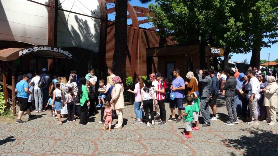 Ordu Boztepe için teleferik yoğunluğu