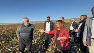 Pamuk reticilerine bir dokun bin ah iit