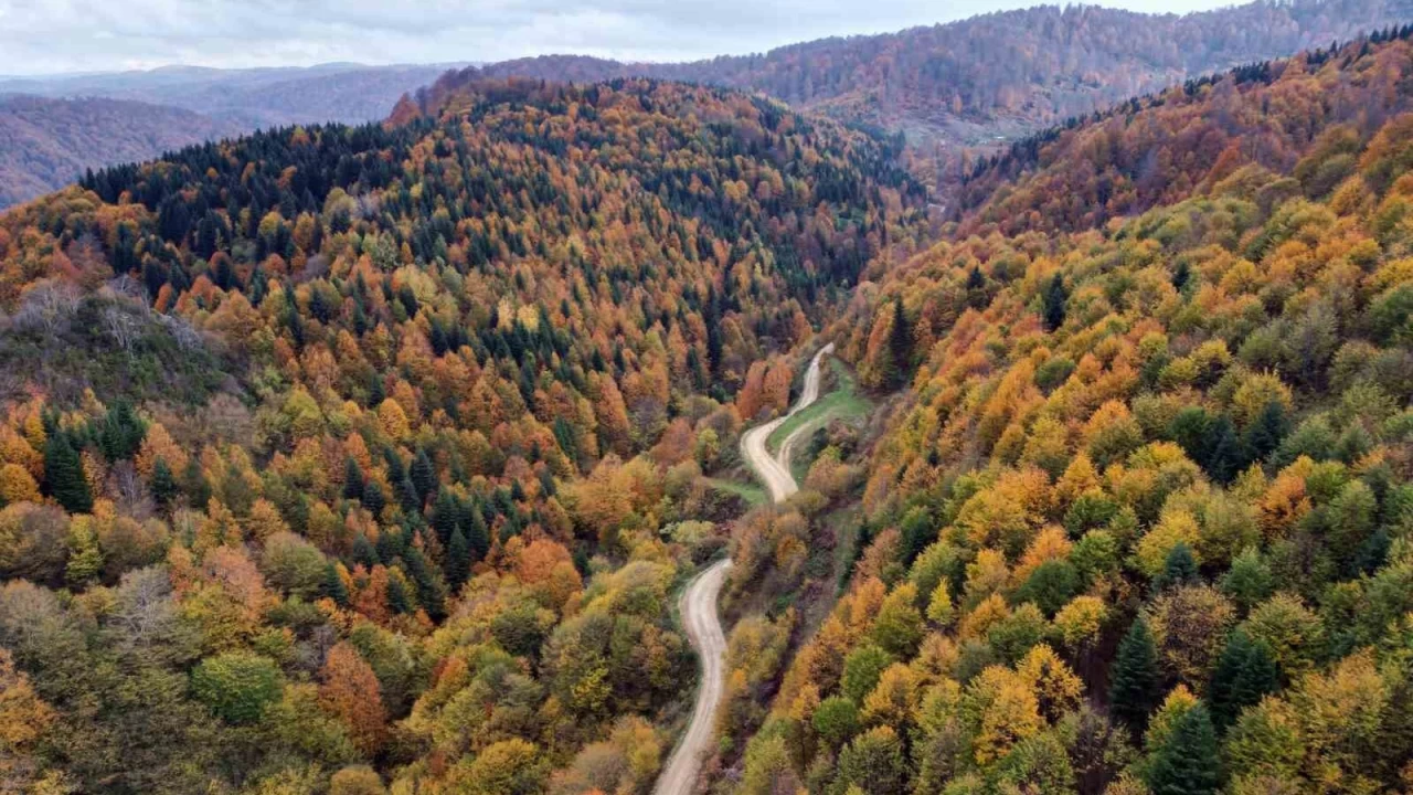 Sakarya'da sonbahar güzelliği göz kamaştırıyor