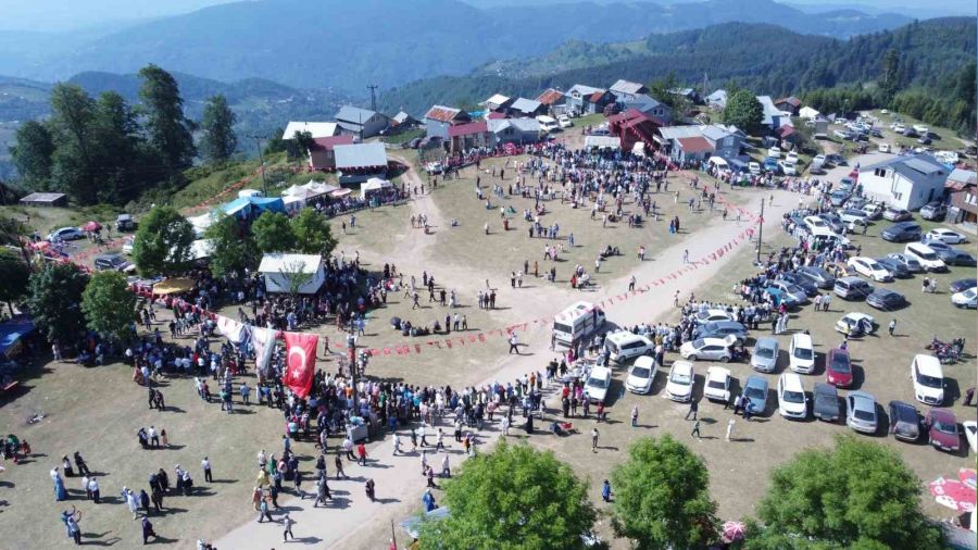 Sakarya'n�n en y�ksek noktas�nda as�rl�k �enlik