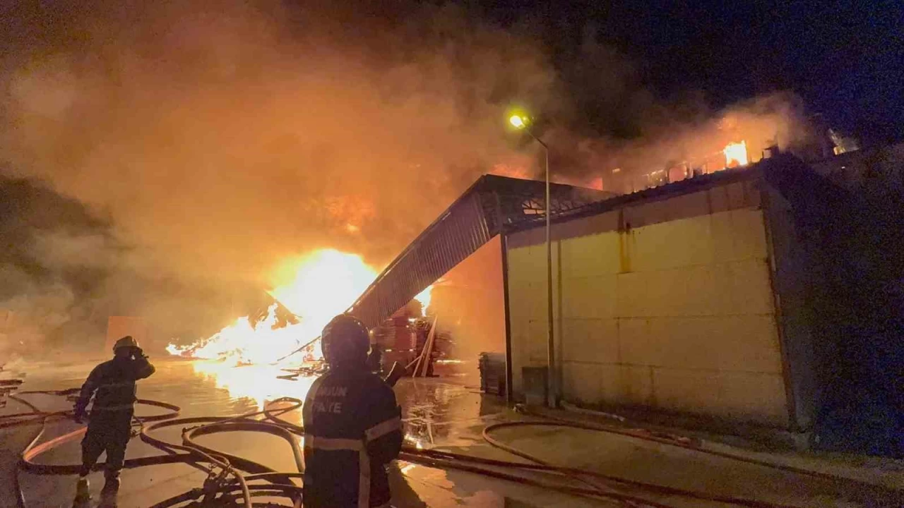 Samsun'da kereste fabrikas� alev alev yan�yor