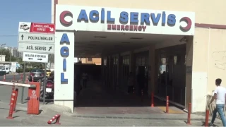 �anl�urfa'da yaprak sarmas� 12 ��renciyi hastanelik etti
