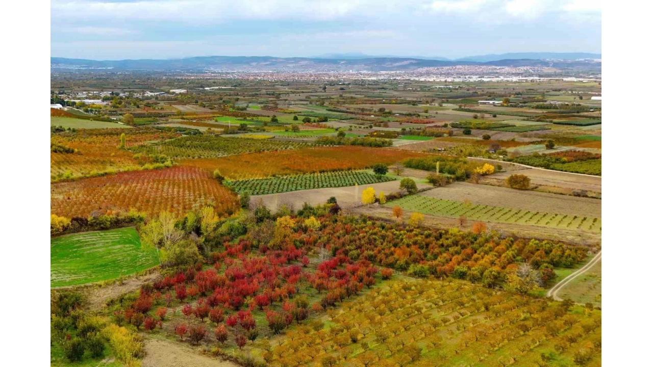 Sonbaharın renk cümbüşü Uludağ eteklerinde