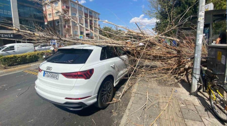 Tatile geldi, otomobilinin üstüne ağaç devrildi