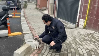 Tekirdağ'da baca yangını korkuttu
