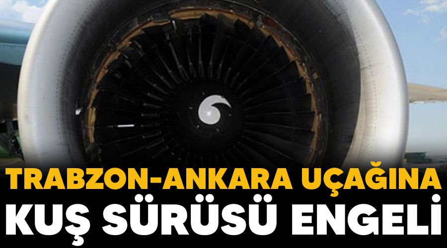 Trabzon-Ankara u�a��na ku� s�r�s� engeli