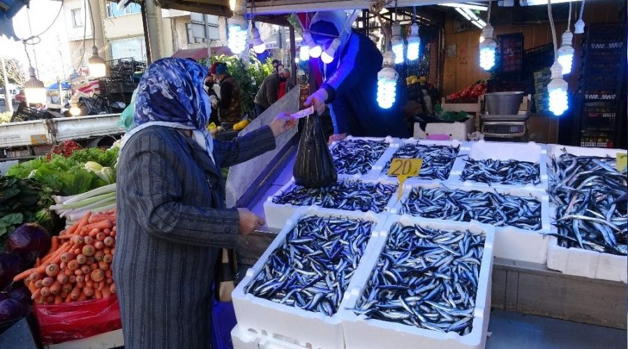 Trabzonlu balıkçılar hamsi için İğneada yolunda