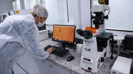 Türkiye'nin 4 aşı adayı başarılı