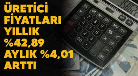 Üretici fiyatları yıllık %42,89, aylık %4,01 arttı