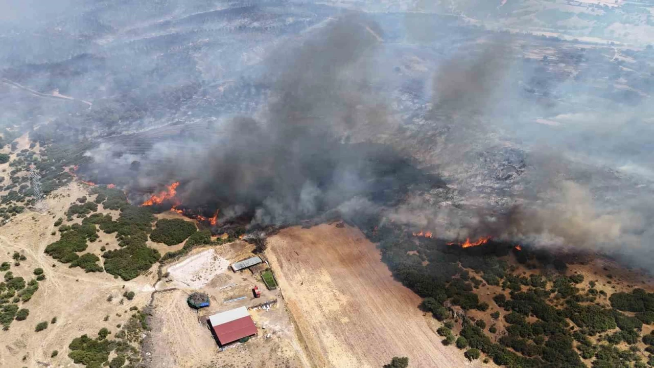 Yang�nlara kar�� ke�i ��z�m�