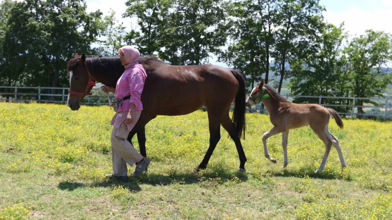 Ya�lar� k���k, de�erleri milyon