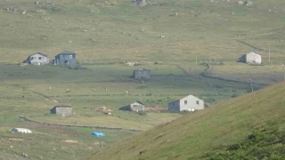 Yaylalara artık hayvanlarını otlatmak için değil, tatil için geliyorlar