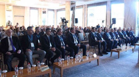 Zeytin ve zeytinyanda tarihi sezon