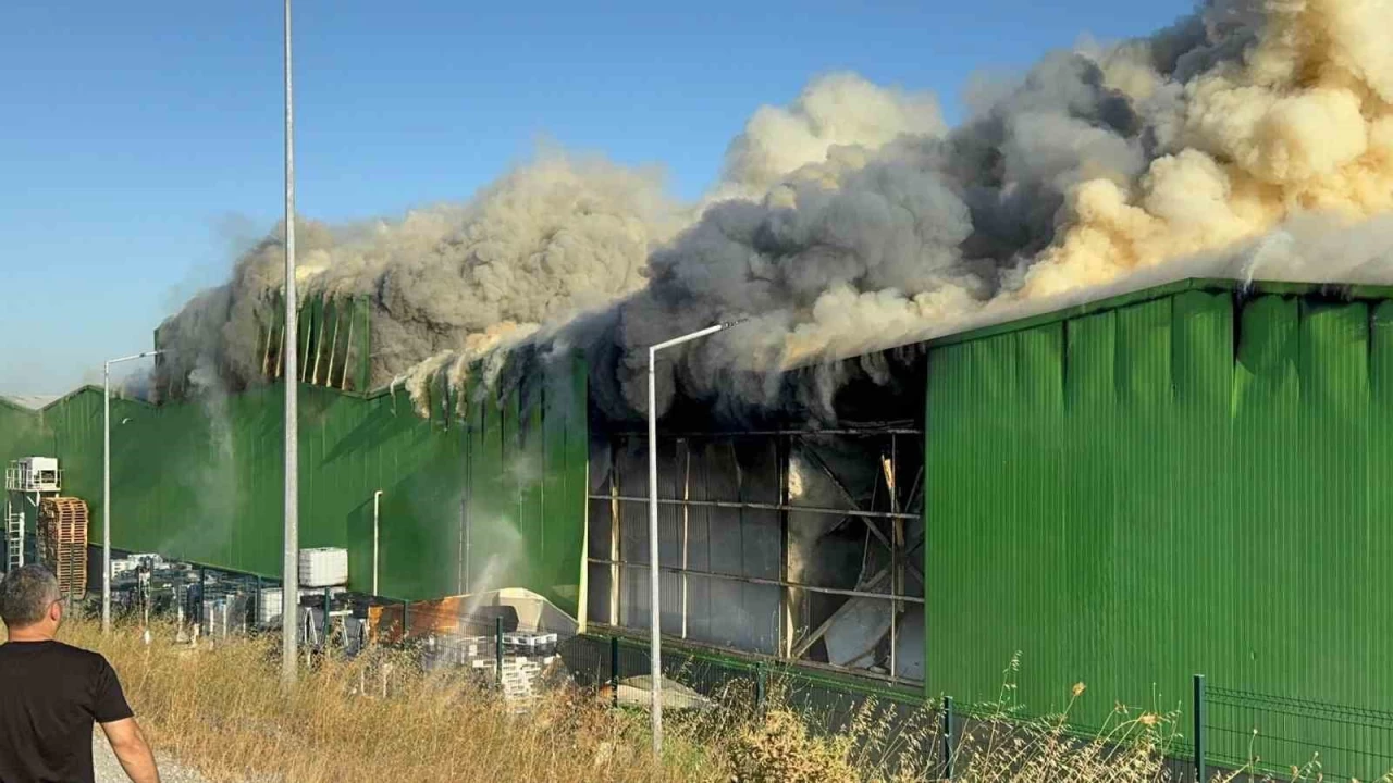 2 ki�inin hayat�n� kaybetti�i fabrika yang�n�yla ilgili 7 ki�iye g�zalt�