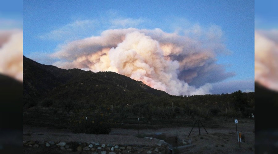 20 bin d�n�mden fazla ormanl�k alan k�le d�nd�