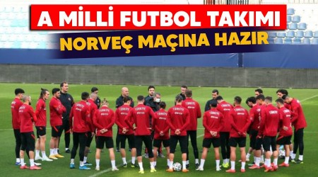 A Milli Futbol Takımı, Norveç maçına hazır
