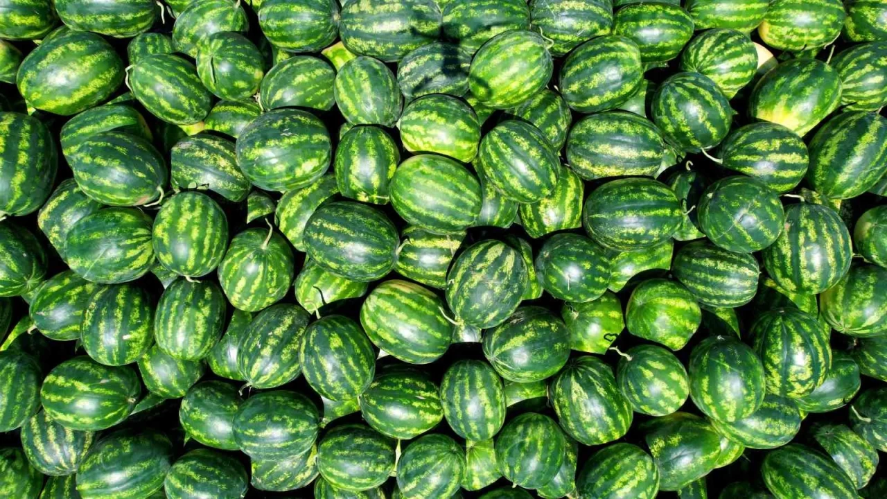 Adana'da iftiler en az 10 lira fiyat bekliyor