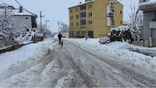 Adana'n�n o il�esinde kar hayat� durdurdu