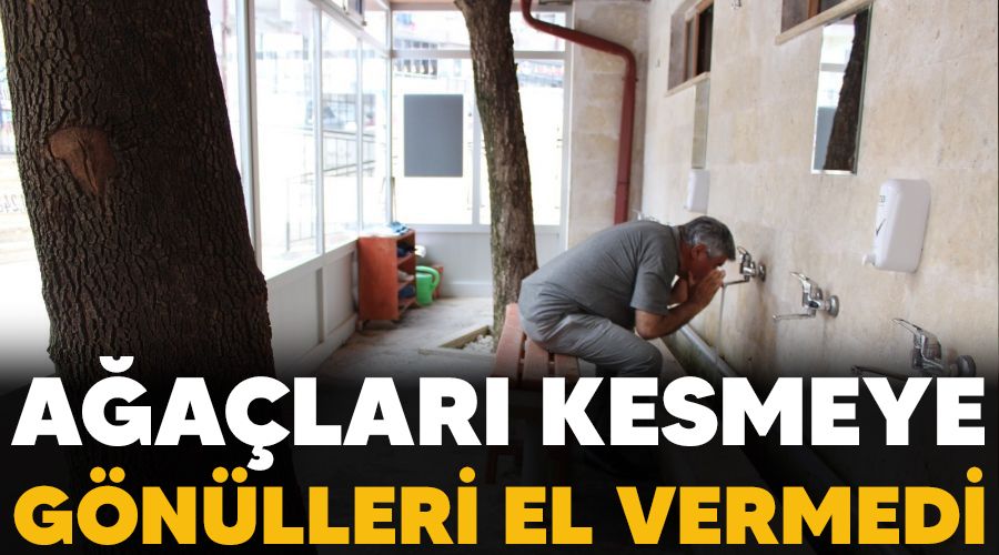 Ağaçları kesmeye gönülleri el vermedi