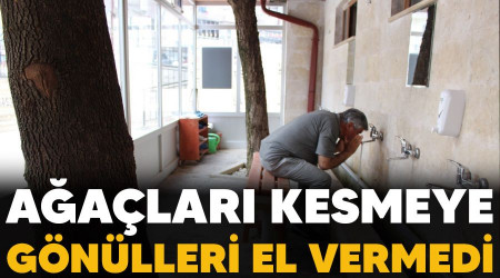 Ağaçları kesmeye gönülleri el vermedi