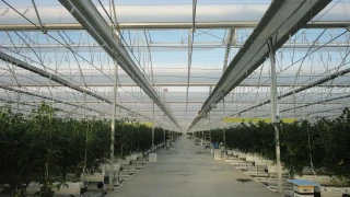 Antalya'nın tarım ambarı: Serik'te üretim ve üreticinin mücadelesi