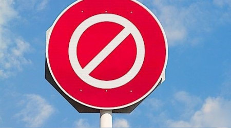 Artvin'de sahibini ısıran köpek kuduz çıktı, 3 köy karantinada